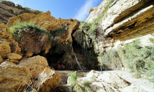 Zdjecie IZRAEL / Morze Martwe / Ein Gedi, Wodospad Dawida (grny) / Podgldanie natury