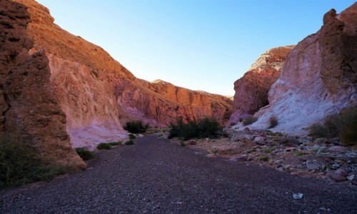 Zdjcie IZRAEL / Eilat / Czerwony Kanion / w drodze do Wadi Raham