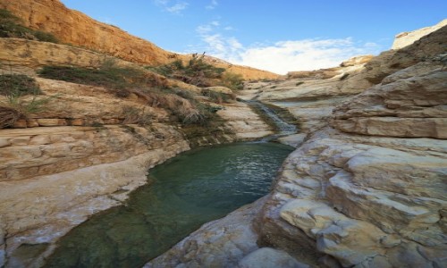 Zdjcie IZRAEL / Morze Martwe / Ein Gedi / Wodospadzik