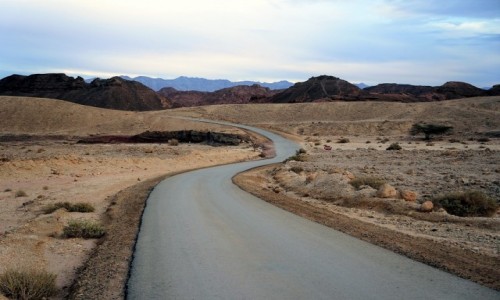 Zdjcie IZRAEL / Eilat  / Timna Park / Powrt