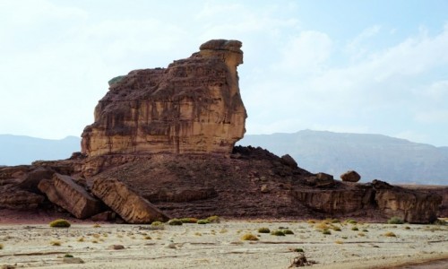 Zdjcie IZRAEL / Eilat / Timna Park  / Co...