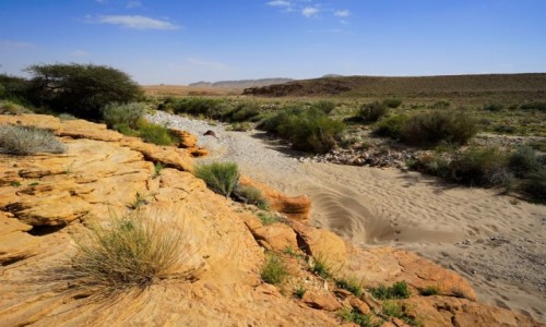 Zdjecie IZRAEL / Negev / Mitzpe Ramon / W korycie wyschnitej rzeki