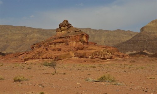 Zdjcie IZRAEL / Negev / Timna Park / Spiralna skaa