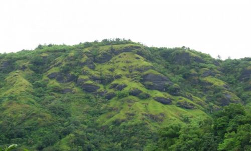 Zdj�cie JAMAJKA / Jamaica / Blue Mountains Park / Jamaica Rocks
