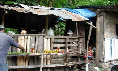 Zdj�cie JAMAJKA / Jamaica / Blue Mountains Park / Jamaica Shop