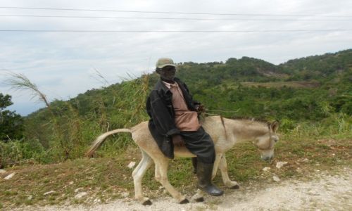 Zdjecie JAMAJKA / Westmoreland / Belmont / Na zakupy