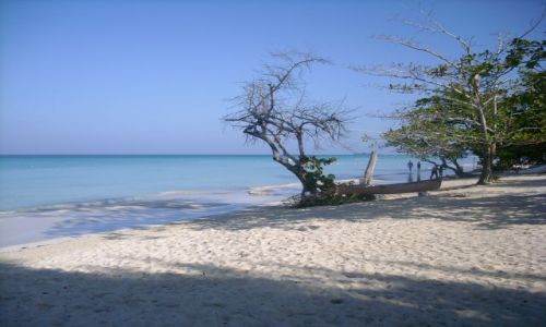 Zdjecie JAMAJKA / Montenego bay / Montenego bay / Inna Jamajka
