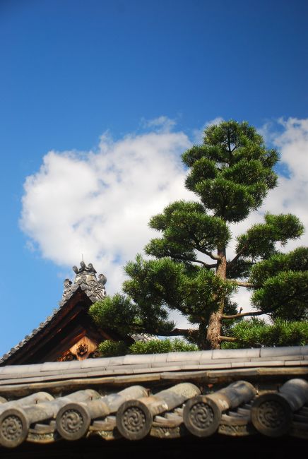 Zdjęcia: temple, Kioto, nad dachem, JAPONIA Zdjęcia: temple, Kioto, nad dachem, JAPONIA