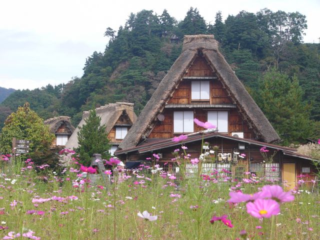 Zdjęcia: Shirakawago, Honshu, Japońskie strzechy II, JAPONIA Zdjęcia: Shirakawago, Honshu, Japońskie strzechy II, JAPONIA