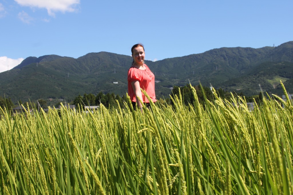 Zdjęcia: Dolina Owakudani, Hakone, Buszująca w ryżu, JAPONIA Zdjęcia: Dolina Owakudani, Hakone, Buszująca w ryżu, JAPONIA