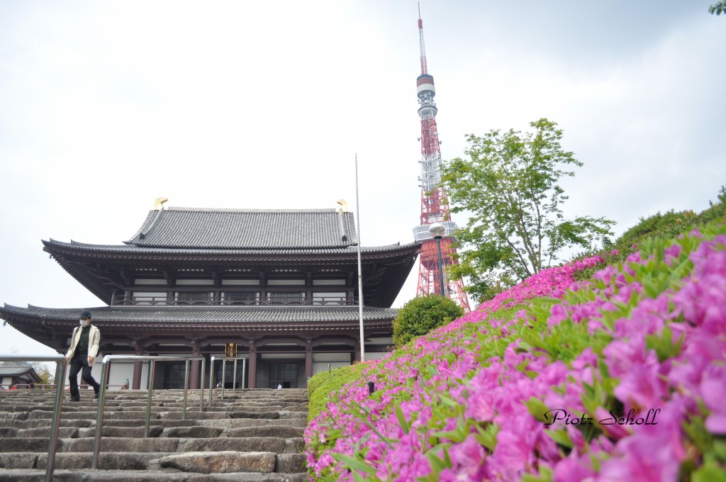 Zdjęcia: Tokyo, Tokyo Tower, 3 in 1 , JAPONIA Zdjęcia: Tokyo, Tokyo Tower, 3 in 1 , JAPONIA