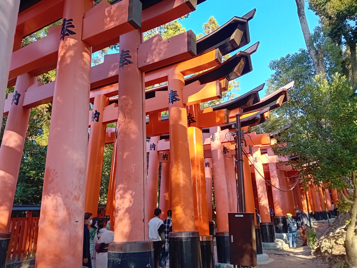Zdjęcia: Inari, Honsiu, Bramy Torii, JAPONIA Zdjęcia: Inari, Honsiu, Bramy Torii, JAPONIA