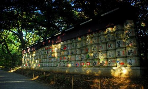Zdjęcie JAPONIA / Tokio  / park / ściana wspomnień