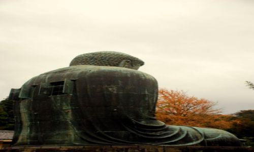 Zdjecie JAPONIA / Kamakura  / swiatynia Kotoku-in / na tyach Buddy 