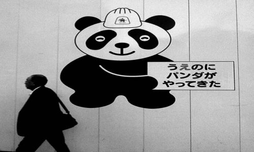 Zdjecie JAPONIA / Tokyo / Tokyo / Panda przeprasza za utrudnienia