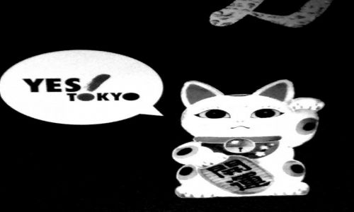 JAPONIA / Tokyo / Tokyo / Yes Tokyo!