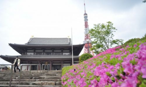 Zdjecie JAPONIA / Tokyo Tower / Tokyo / 3 in 1