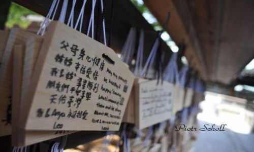 Zdjecie JAPONIA / Tokyo / Tokyo / Świątynia Meiji Jingū