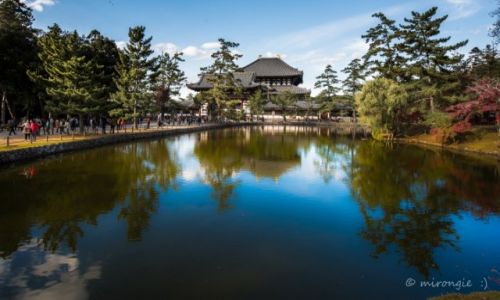 Zdjcie JAPONIA / Kioto / Nara /  witynia Todai-ji