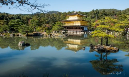 Zdjcie JAPONIA / Kioto / Kinkaku-ji / witynia Kinkaku-ji