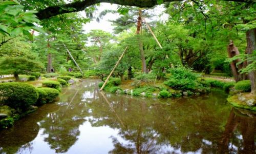 Zdjcie JAPONIA / Honsiu / Kanazawa / Kenroku-en
