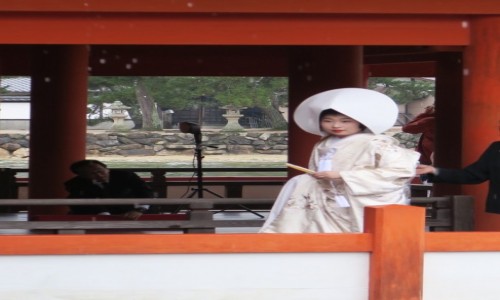 Zdjecie JAPONIA / Honsiu / Miyajima / Japonia wcale nie musi by bardzo droga