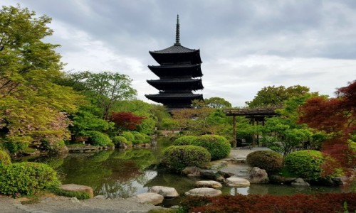 Zdjęcie JAPONIA / - / Kyoto / To-ji temple