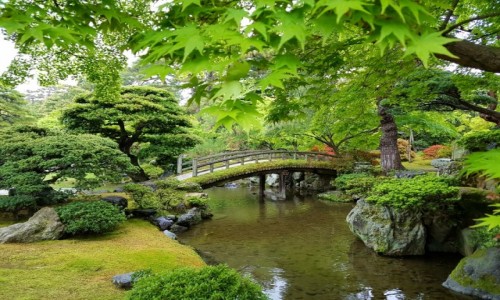 Zdjęcie JAPONIA / - / Kyoto / Ogród zen