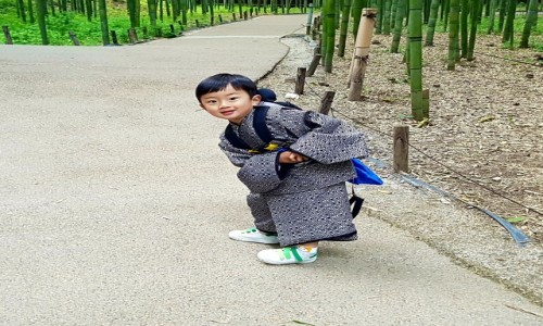 Zdjęcie JAPONIA / - / Kyoto-Arashiyama / Z zadatkami na modela...