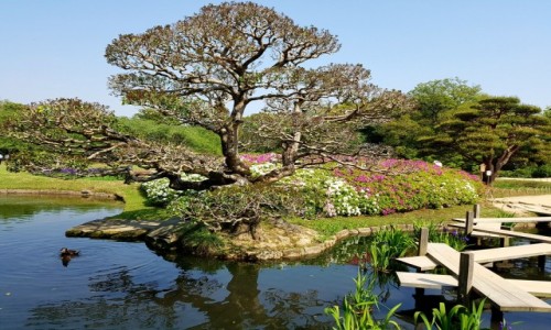 Zdjcie JAPONIA / HONSIU / OKAYAMA / Ogrd zen