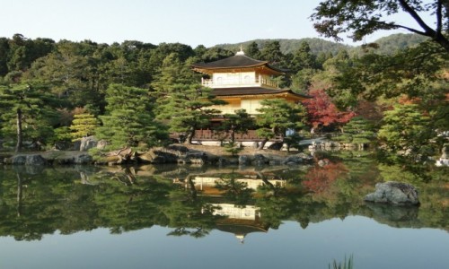 Zdjęcie JAPONIA / Kioto / Ogród japoński / ogród