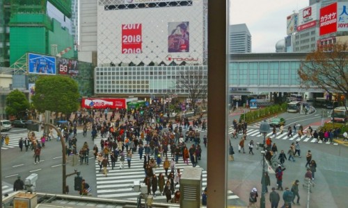 Zdjcie JAPONIA / Tokio / Shibuya / Prawdziwe skrzyowanie