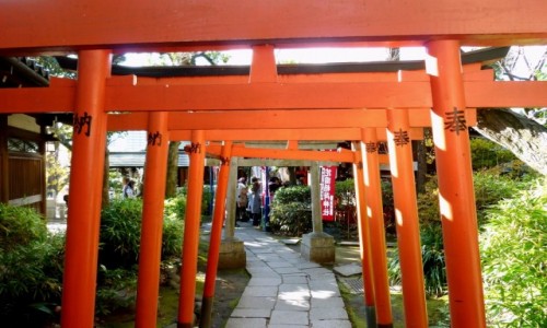 Zdjęcie JAPONIA / Tokio / Ueno / Torii