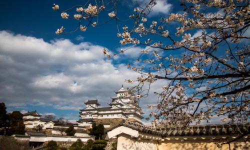 Zdjcie JAPONIA / Hyogo / Himeji / Himeji