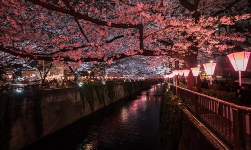 Zdjcie JAPONIA / Tokio / Tokio Naka-meguro / Tokio Naka-meguro