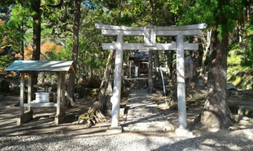 Zdjęcie JAPONIA / kumano kodo / kii tanabe / japonia trekking