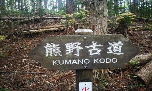 Zdjęcie JAPONIA / kumano kodo / kii tanabe / japonia trekking