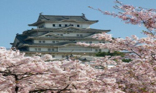 Zdjecie JAPONIA / Himeji / Himeji / rozowy zamek
