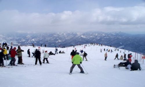Zdjecie JAPONIA / Nagano / Hakuba / Narciarze