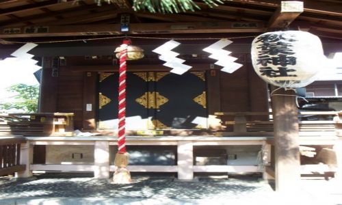 Zdjęcie JAPONIA / Tokio / Omotesando / Kapliczka