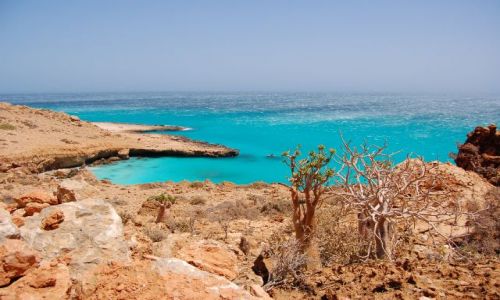 Zdjecie JEMEN / Socotra / przy play / bkit
