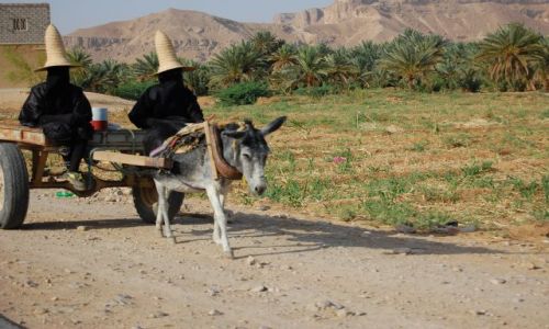 Zdjecie JEMEN / Wadi Hadramaut / w drodze / Czarownice 2