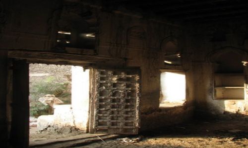 Zdjęcie JEMEN / - / ZABID / Konkurs