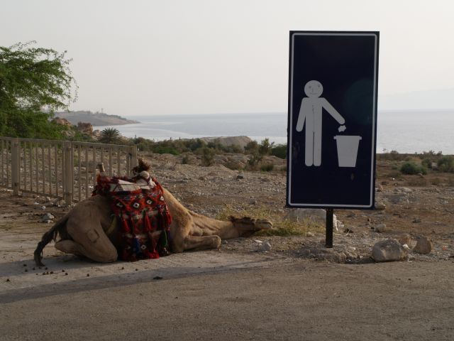 Zdjęcia: Jordania / Morze Martwe, Strefa niskiego ciśnienia, JORDANIA Zdjęcia: Jordania / Morze Martwe, Strefa niskiego ciśnienia, JORDANIA