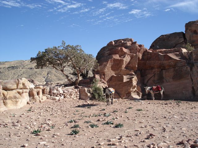 Zdjęcia: Petra, Ma an, Oczekiwanie, JORDANIA Zdjęcia: Petra, Ma an, Oczekiwanie, JORDANIA