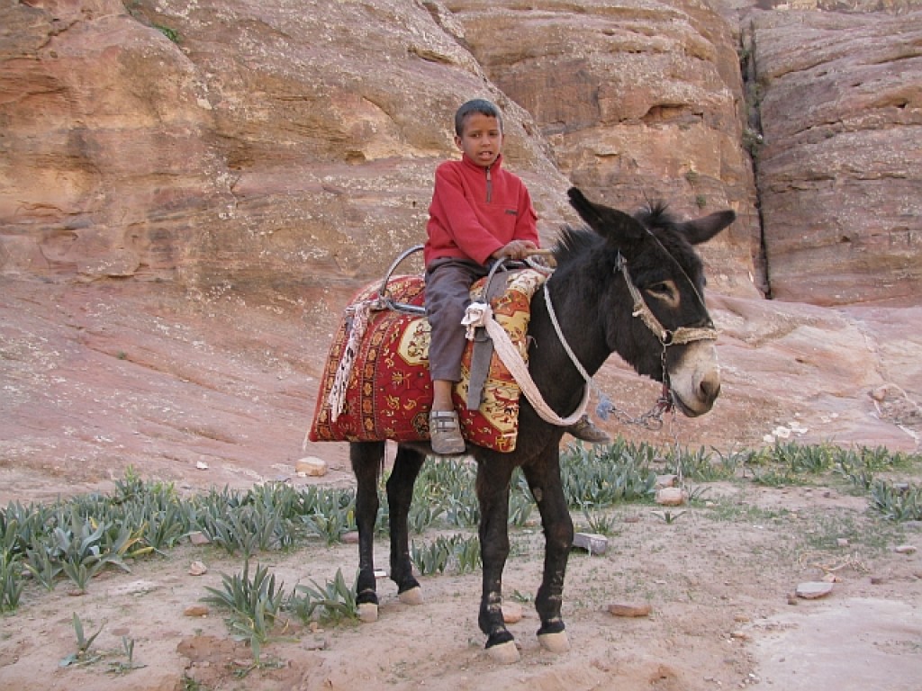 Zdjęcia: Petra, południowa Jordania, przewodnik, JORDANIA Zdjęcia: Petra, południowa Jordania, przewodnik, JORDANIA