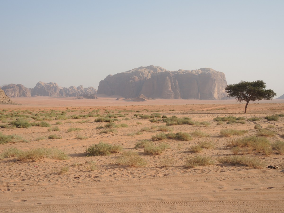 Zdjęcia: Wadi Rum, Wadi Rum, przestrzeń, JORDANIA Zdjęcia: Wadi Rum, Wadi Rum, przestrzeń, JORDANIA