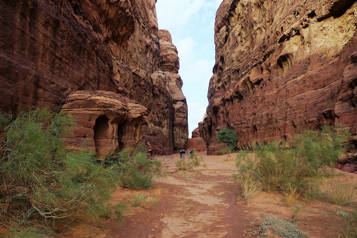 Zdjęcia: ., Wadi Rum, Abu Khashaba canyon, JORDANIA Zdjęcia: ., Wadi Rum, Abu Khashaba canyon, JORDANIA