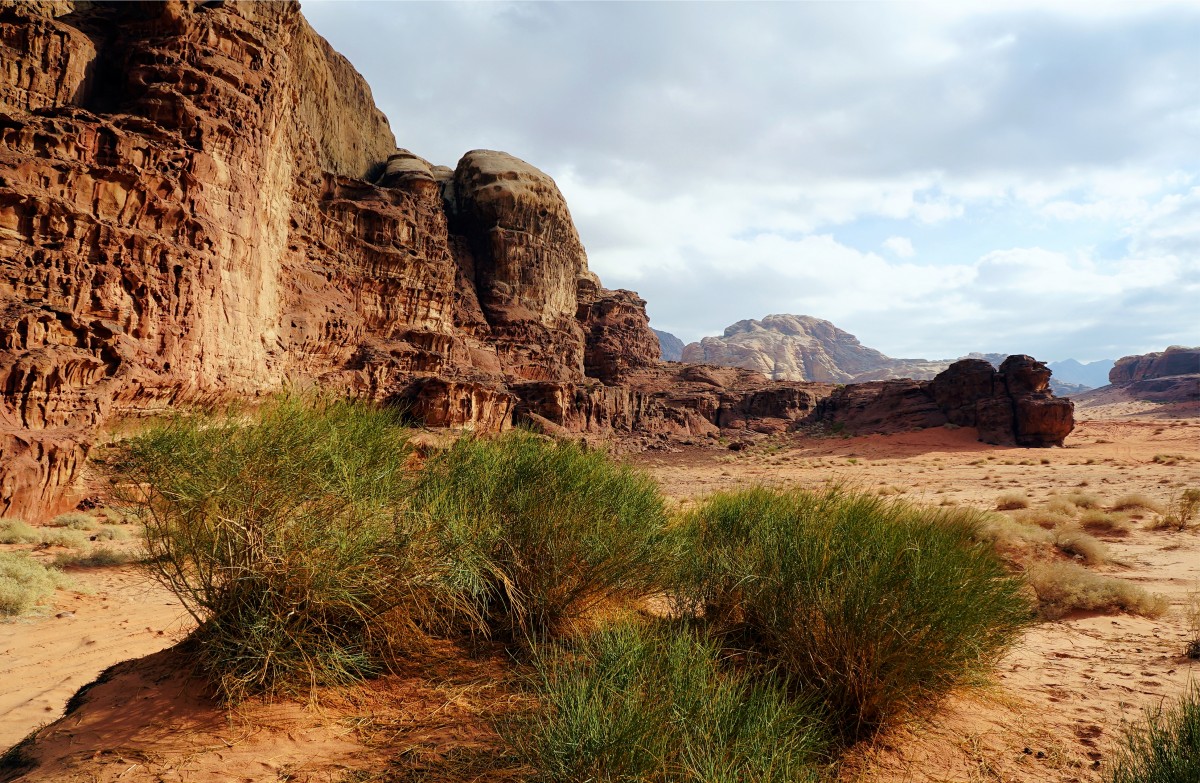 Zdjęcia: Abu Khashaba Canyon, Wadi Rum, Nie tylko skały, JORDANIA Zdjęcia: Abu Khashaba Canyon, Wadi Rum, Nie tylko skały, JORDANIA
