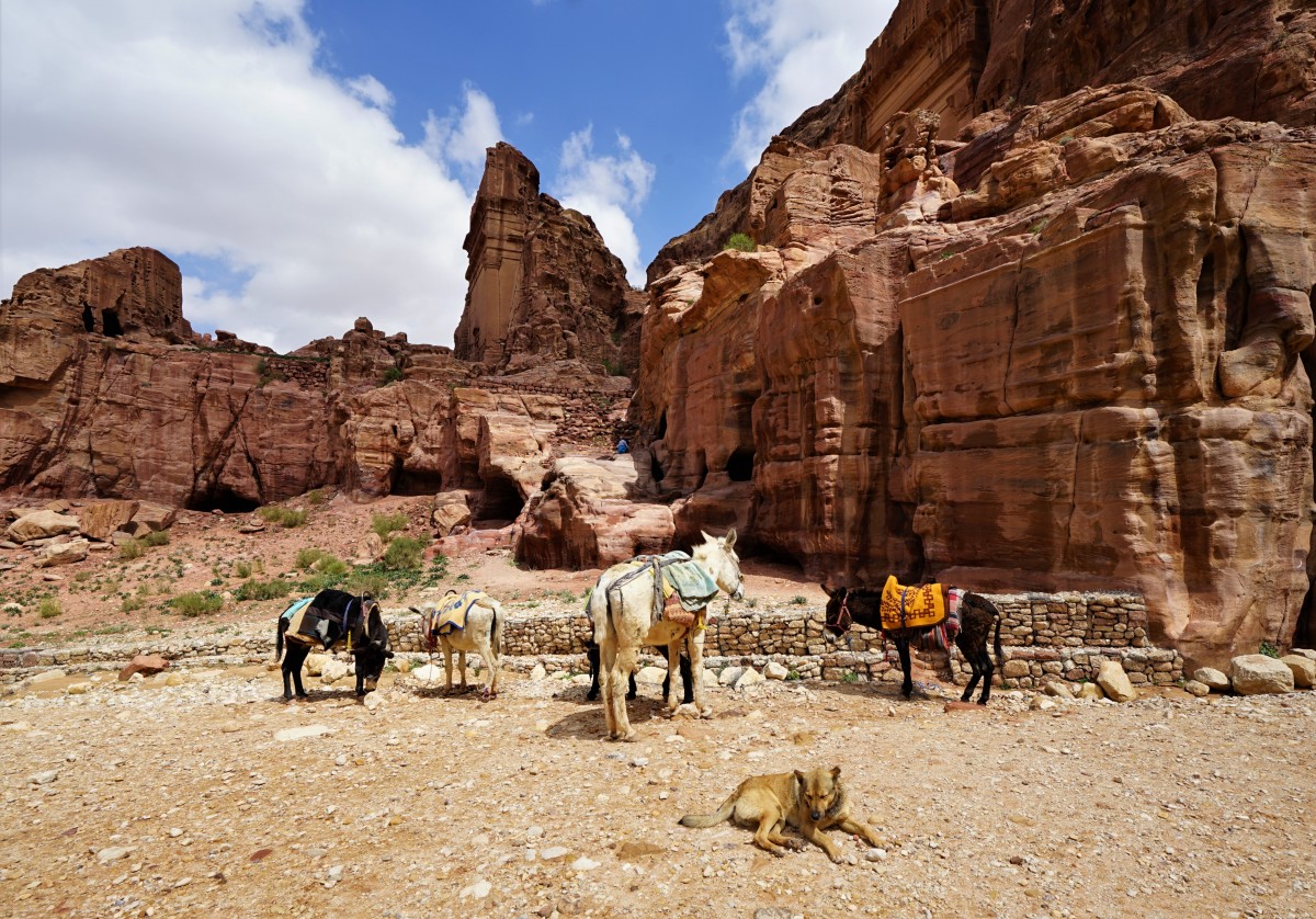 Zdjęcia: Petra, Muhafaza Ma'an, Stróż, JORDANIA Zdjęcia: Petra, Muhafaza Ma'an, Stróż, JORDANIA